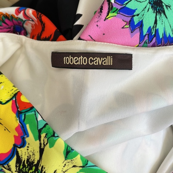 Roberto Cavalier Dress - Picture 10 of 13